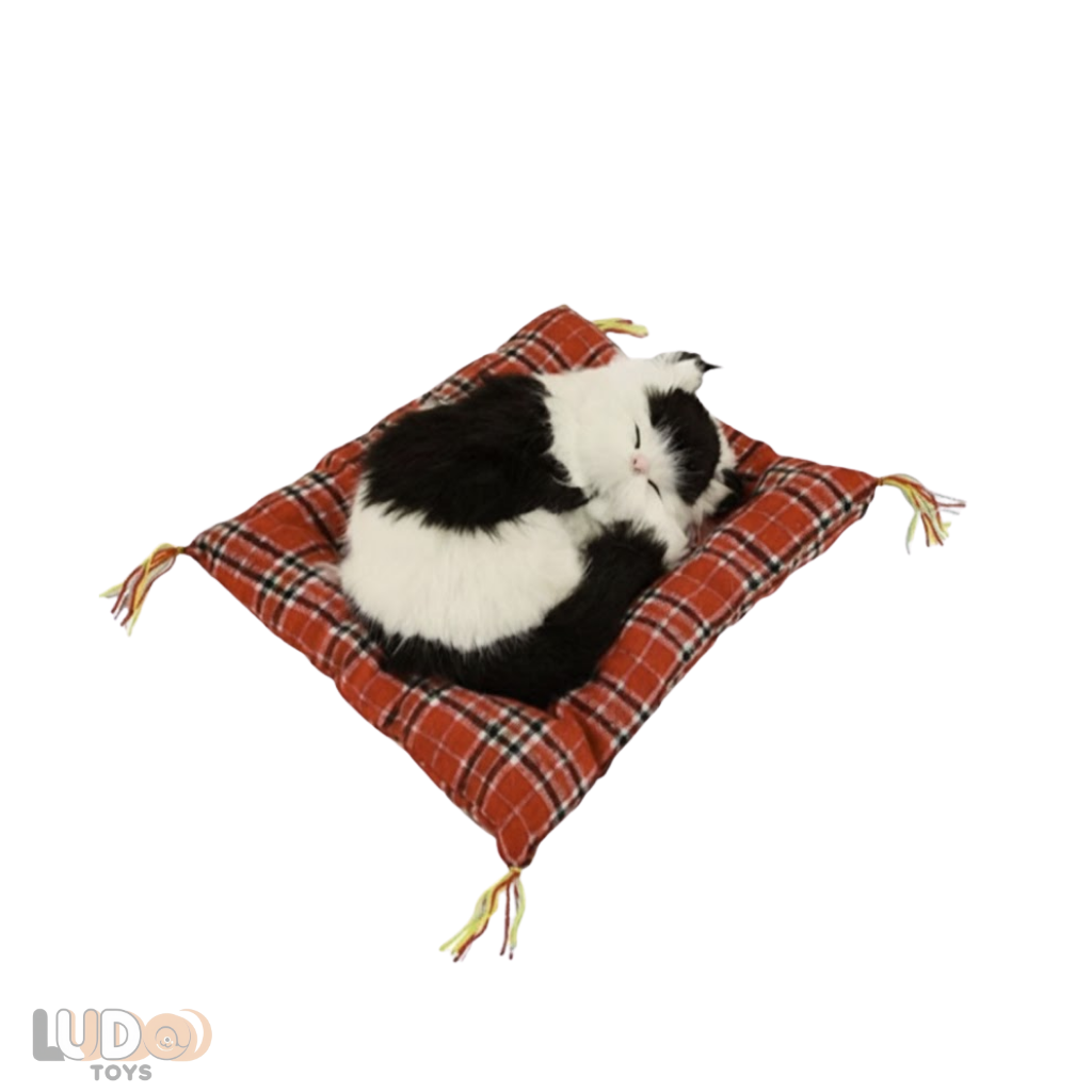 Minderde Uyuyan Pelüş Sesli Kedi