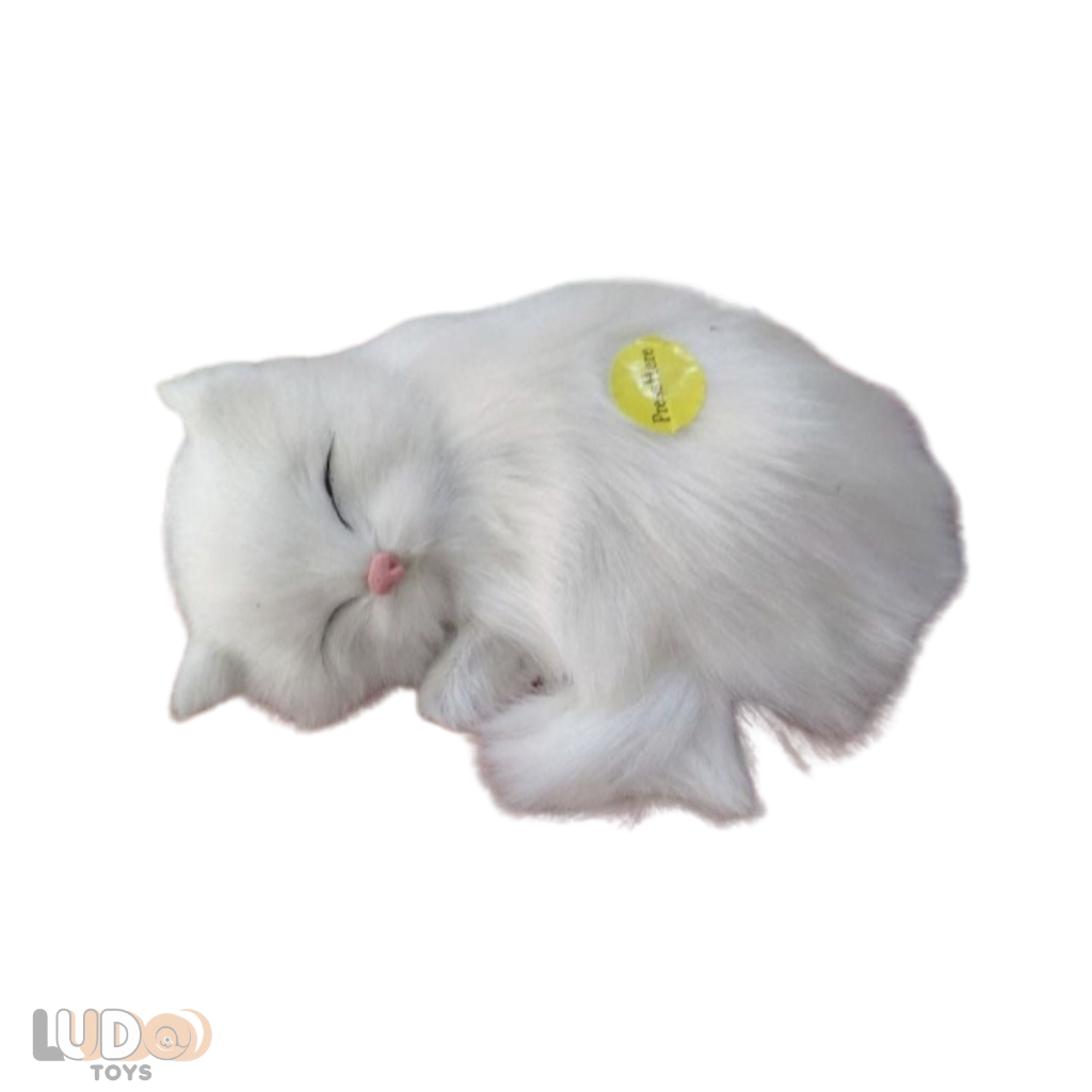 Minderde Uyuyan Pelüş Sesli Kedi